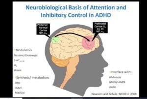 ADHD Medications treatment